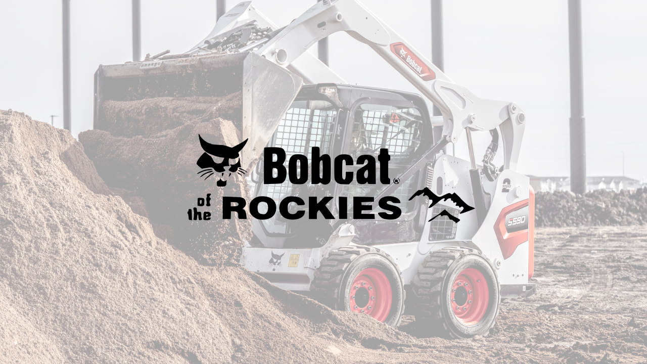 Bobcat